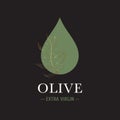 Olive oil drop logo and golden sprig. Royalty Free Stock Photo